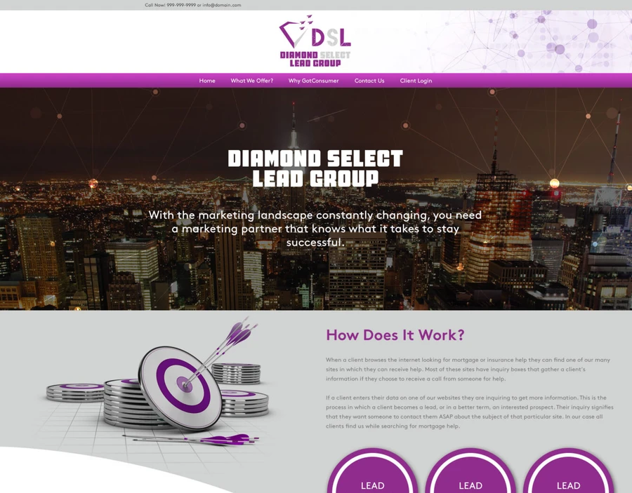 Diamond Select Lead Group project screenshot